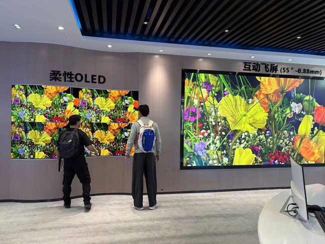 法國客戶組團到華邦瀛學習LED顯示屏維修的真實經歷